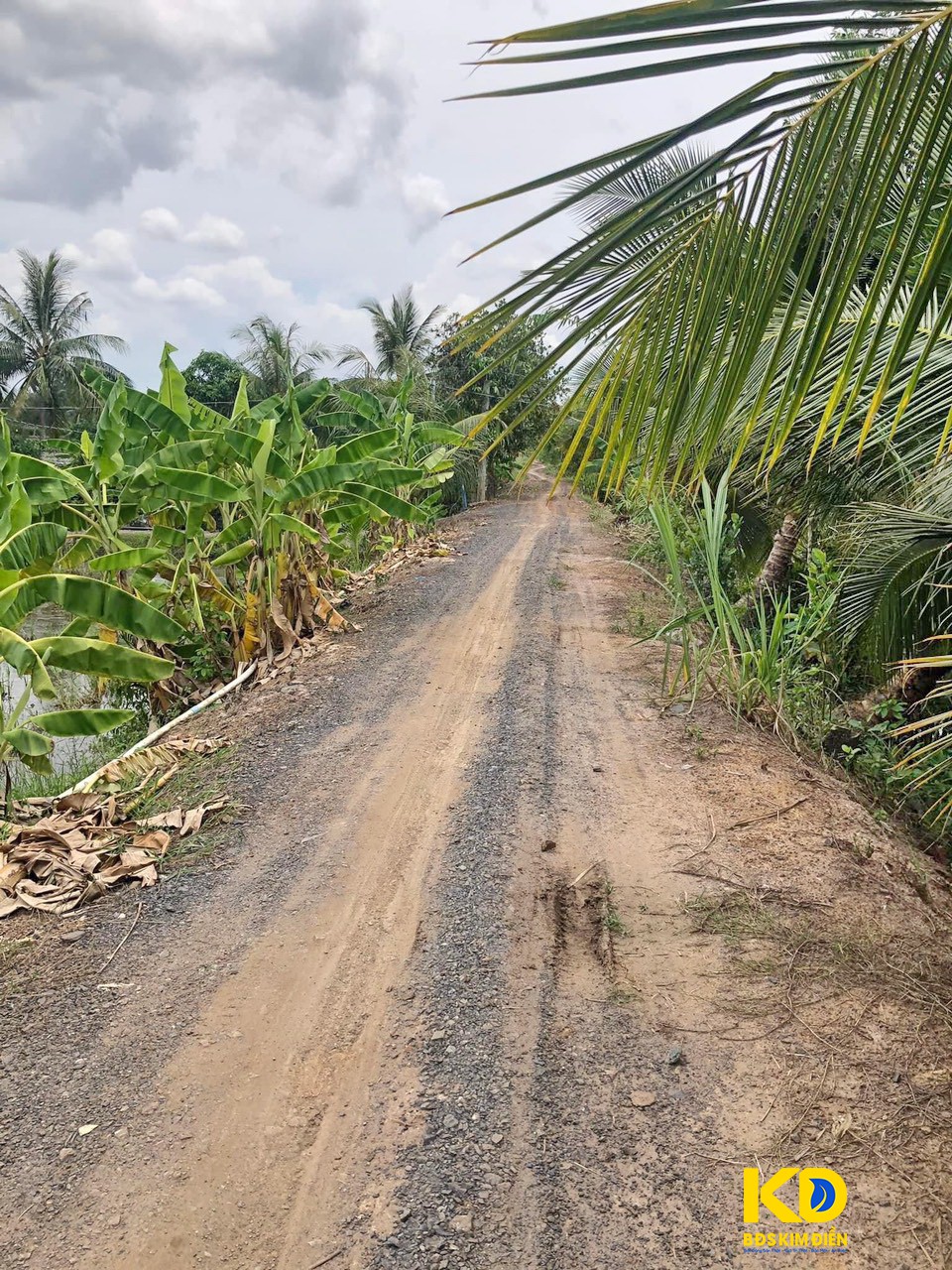 Cần bán 2 sổ hết đất tầm 1500m2 mặt tiền kênh chợ, tại ấp 4 Mỹ Thạnh Huyện Thủ Thừa.